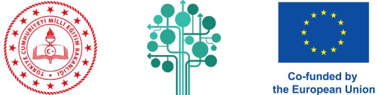 Milli Eğitim Bakanlığı, Epale, Avrupa Birliği